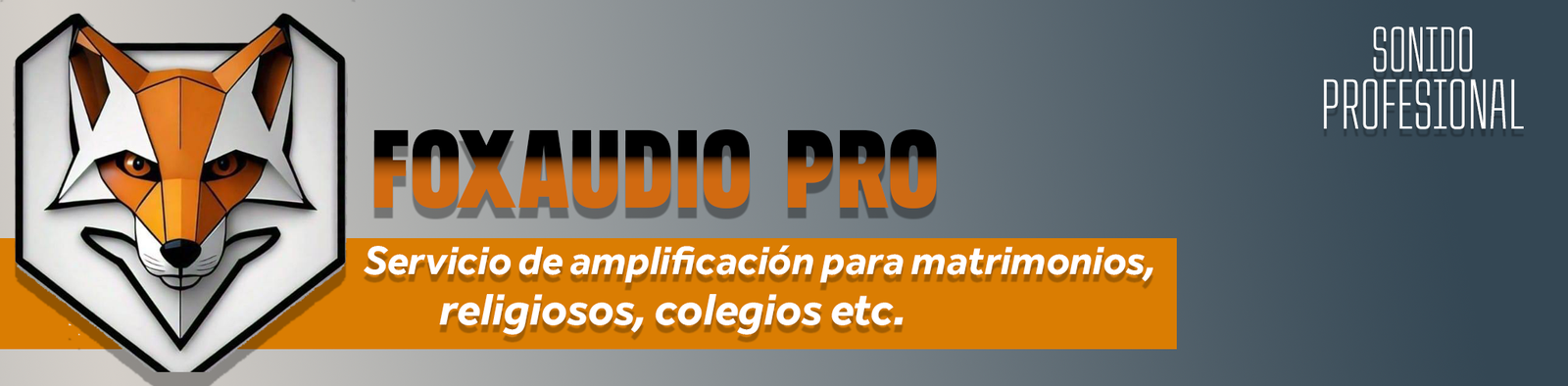BANNER FOXAUDIO PRO